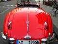 Jaguar_2008-1.JPG
