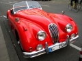 Jaguar_2008-2.JPG