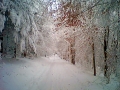 eifel_winter_2006.jpg