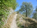 2013_Gardasee_Wanderweg.JPG