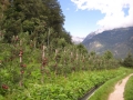 2010_Meran_Waalweg_2.JPG