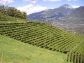 2010_Meran_Waalweg_7.JPG
