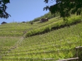 2011_Bozen_Oswald-Promenade.JPG
