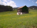 2011_auf_dem_Ritten_5.JPG
