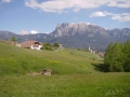 2011_auf_dem_Ritten_6.JPG