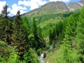 2015_Gostalm_03