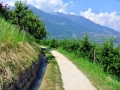 2015_Marlinger_Waalweg_03