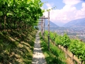 2015_Marlinger_Waalweg_08