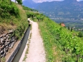 2015_Marlinger_Waalweg_09