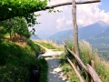 2015_Marlinger_Waalweg_11