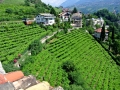 2015_Meran_03