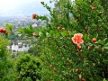 2015_Meran_Schloss_Trauttmansdorff_06