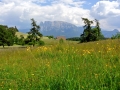 2015_Ritten_09