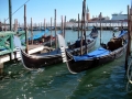 Venedig_Gondeln.jpg