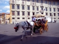 2010_Pisa_7.JPG