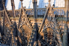 DSC_0131.JPG