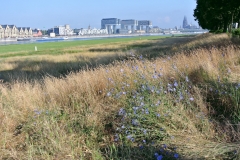 DSC_0718.jpg