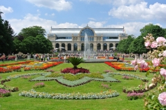 Flora_2014.JPG