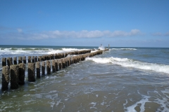 IMG_20190912_120138388