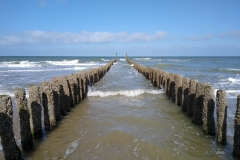 IMG_20190912_120230718