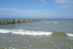 IMG_20200617_111500600