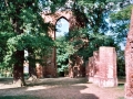 greifswald_kloster_eldena_02.jpg