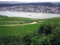 2007_Ruedesheim.jpg