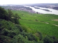 2007_Ruedesheim_Bingen.jpg