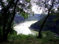 Loreley.jpg