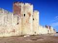 2009_Aigues_Mortes_3.JPG