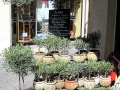 2009_Provence_3.JPG