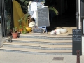 2009_Saintes_Maries_de_la_Mer_7.JPG