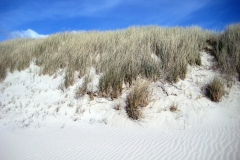 Sylt