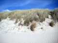 2012_Sylt_02.JPG