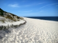 2012_Sylt_05.JPG